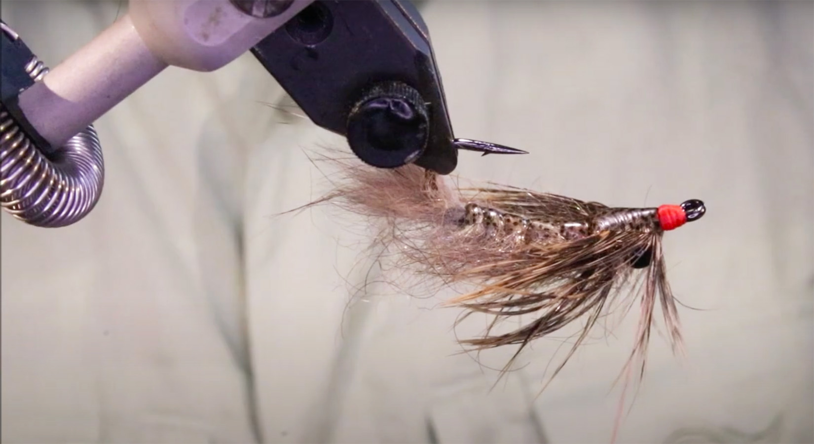 "Barry's Carp Fly" MidCurrent