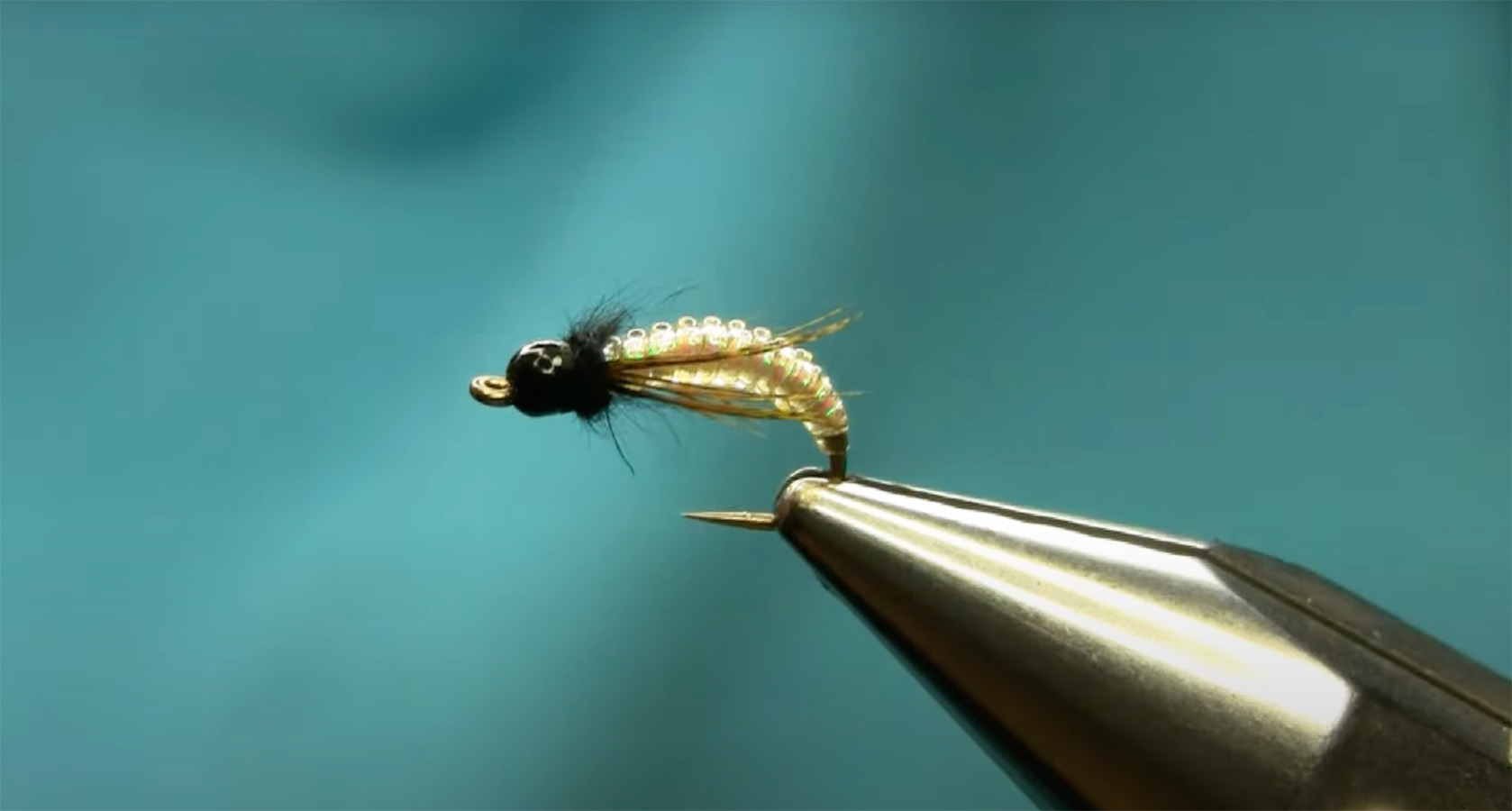 "Tying a Clear Stretch Caddis Larva" MidCurrent