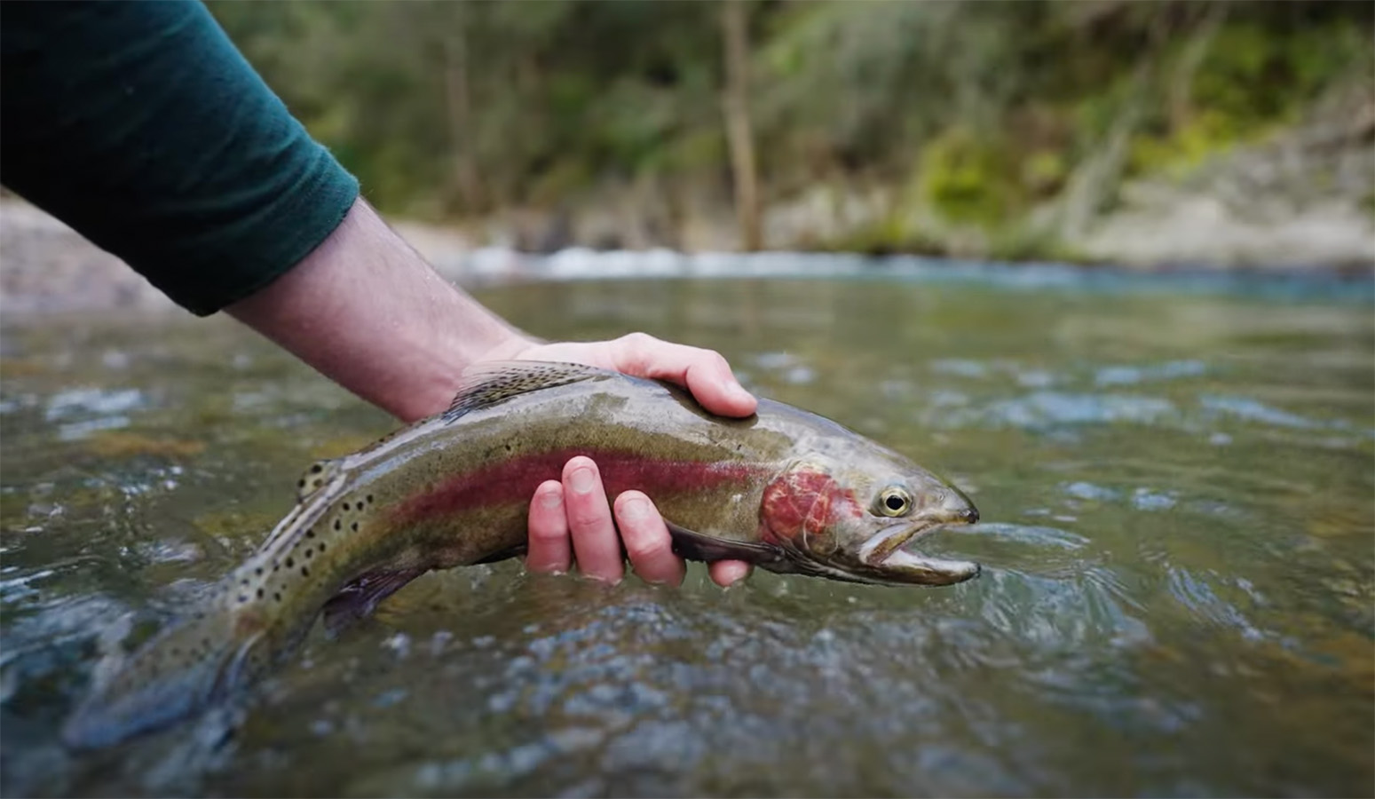 "Camping and Fly Fishing for Trout" MidCurrent