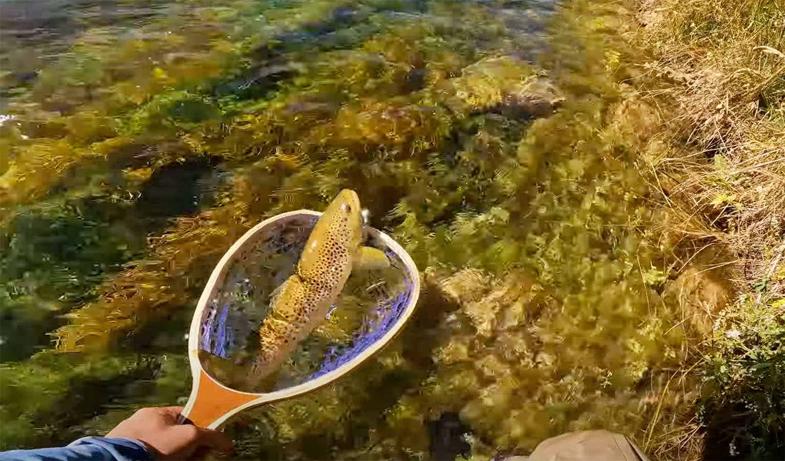 "A Dry Fly Fishing Paradise" MidCurrent