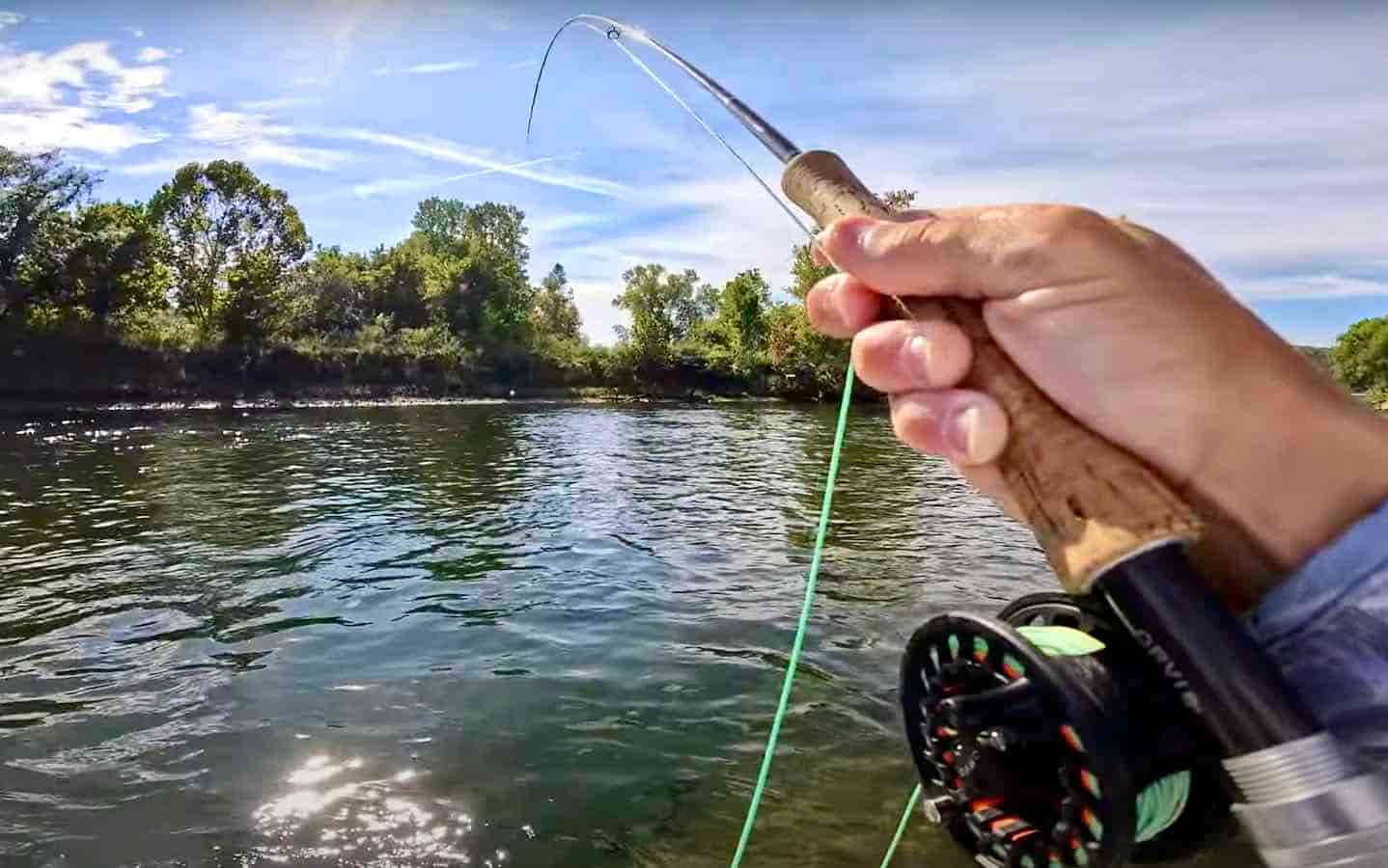 "An Arkansas Fly Fishing Trip" MidCurrent
