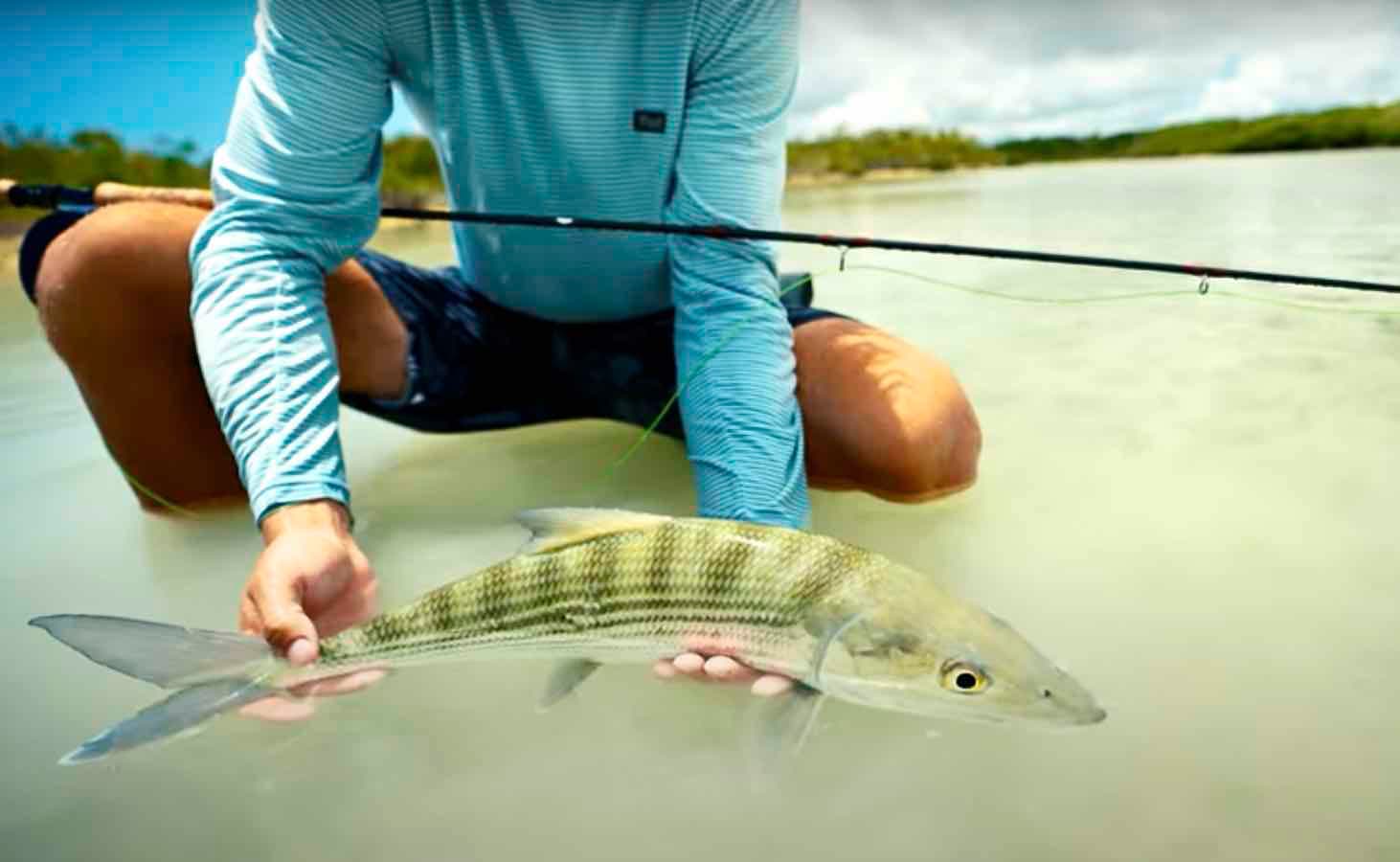 "Fly Fishing The Bahama Flats" MidCurrent