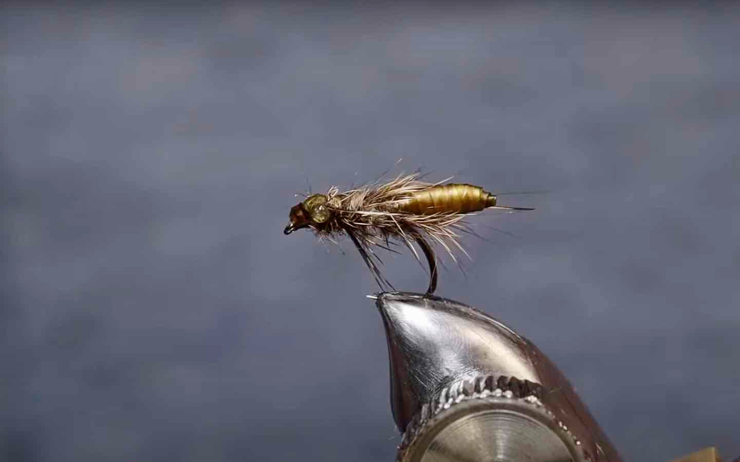 "Tying a Caddis Pupa" MidCurrent