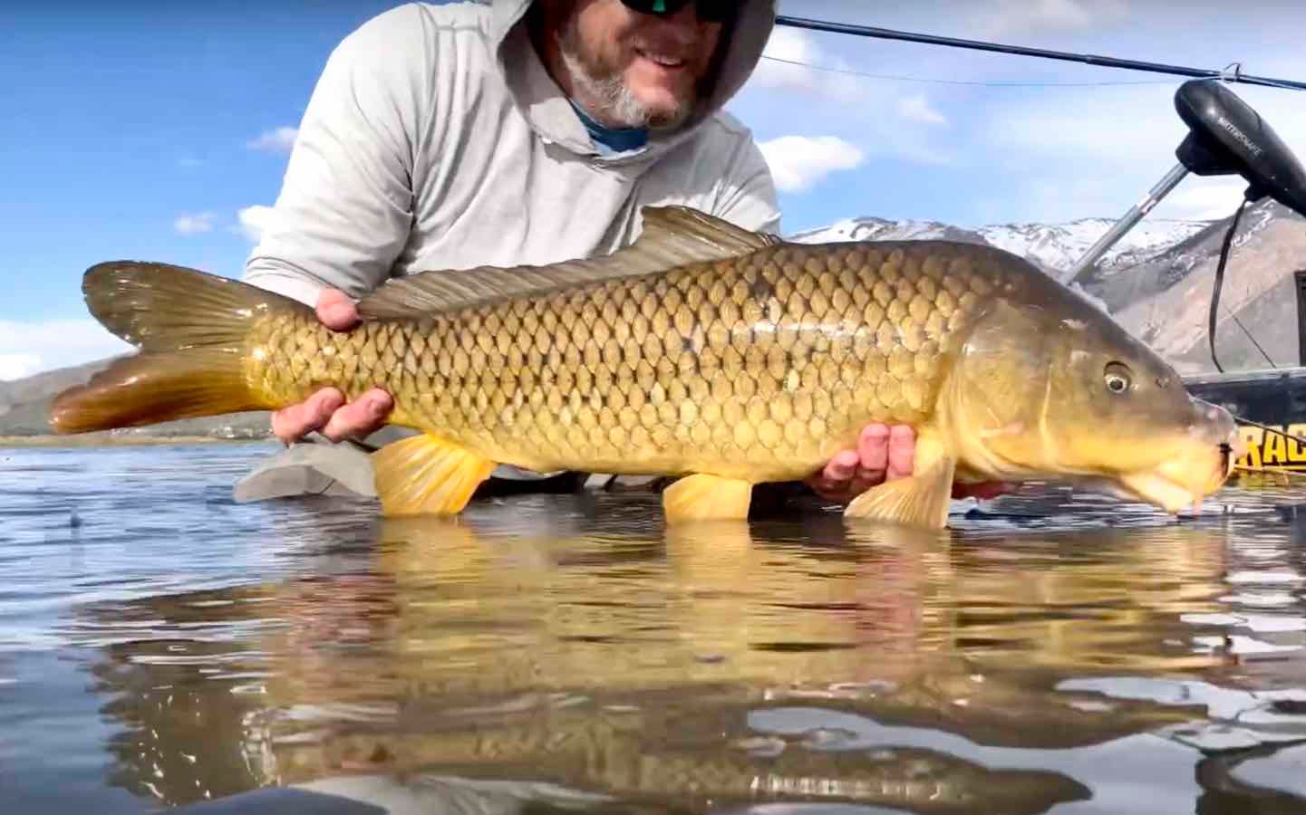 "Freshwater Flats" MidCurrent