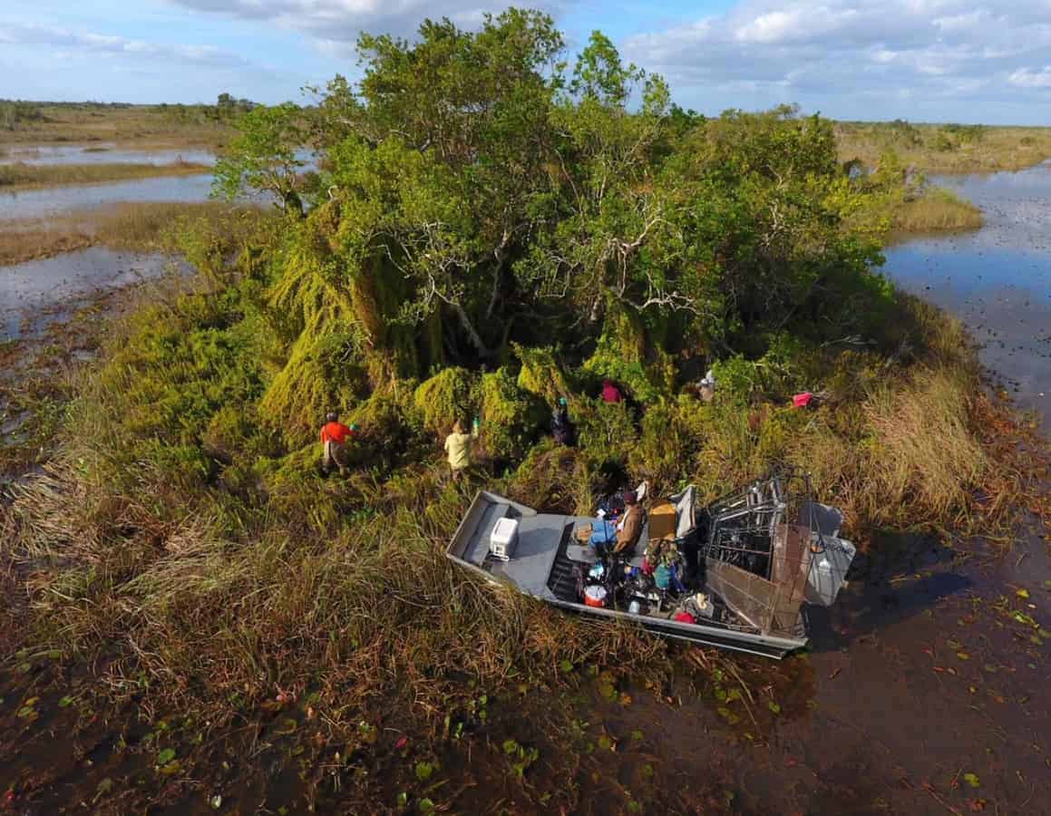 Glyphosate Hysteria Threat to Aquatic Ecosystems or Concocted