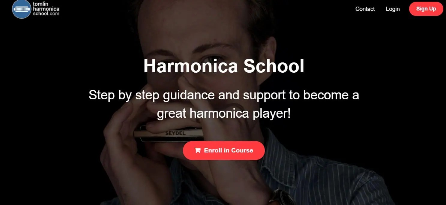 10 Best Online Harmonica Lessons That Actually Work 2024