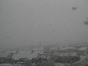 Snow 1