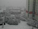 Snow 5