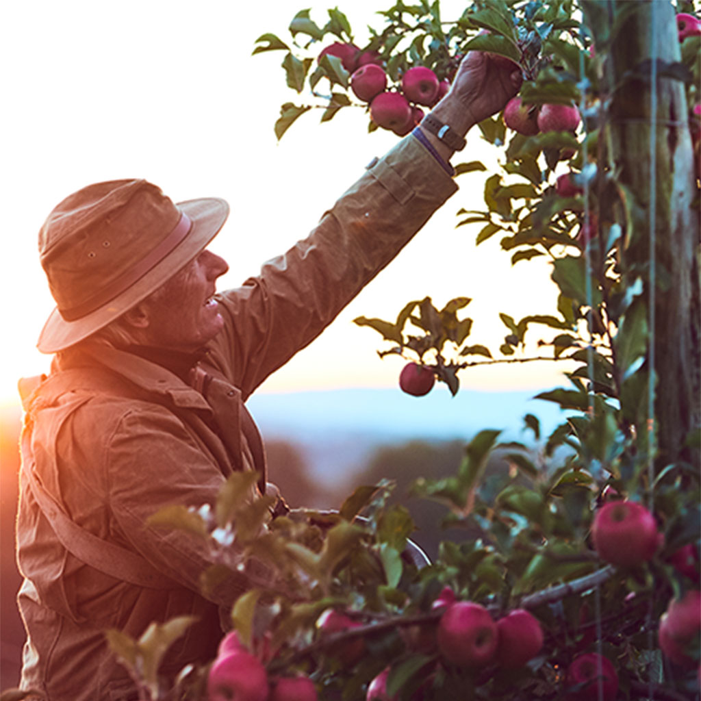 PartnersListing Middleburg Hospitality