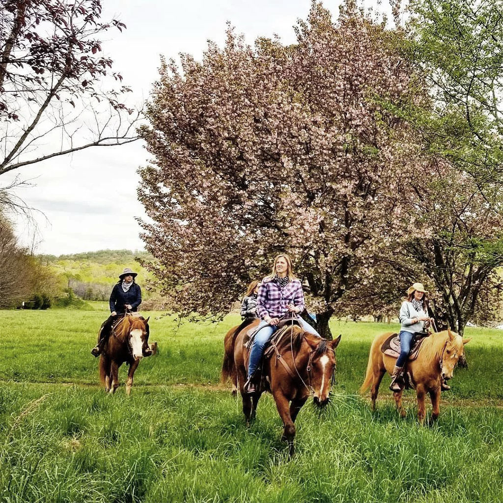 PartnersListing Middleburg Hospitality