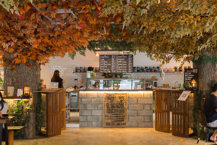 Kreams Maxwell Korean Café Decorated In Autumn Foliage Selling Dalgona