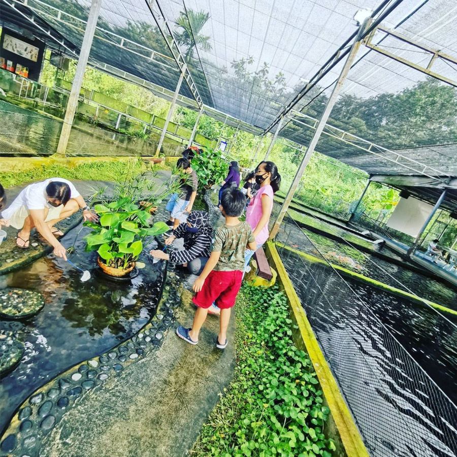 9 Farms in Singapore To Experience That Rustic Countryside Charm