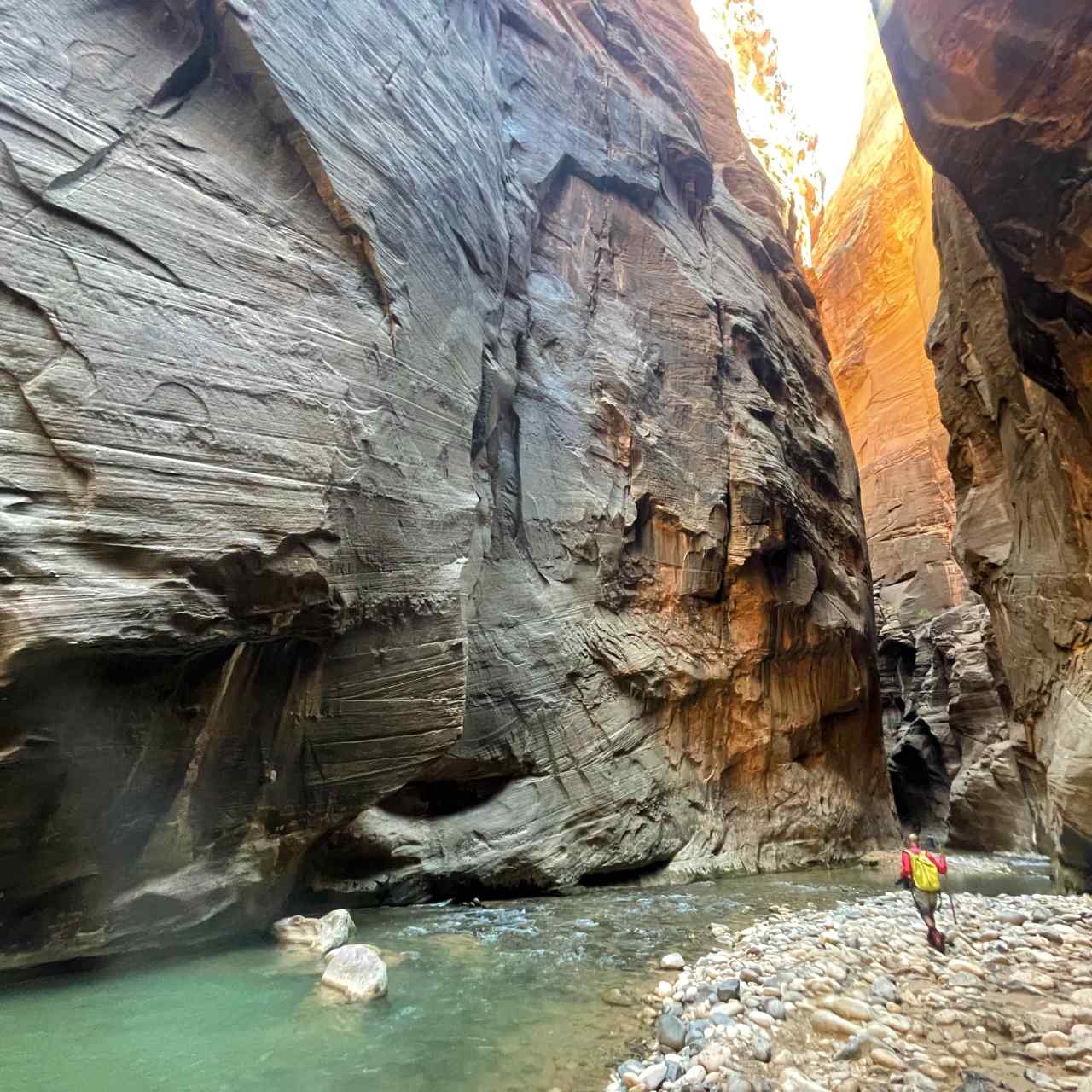 The Narrows The Only Trail in Zion National Park That Changes as you