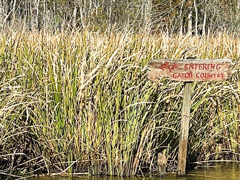Touring the Bayou in Jean Lafitte National Park ⋆ Middle Journey