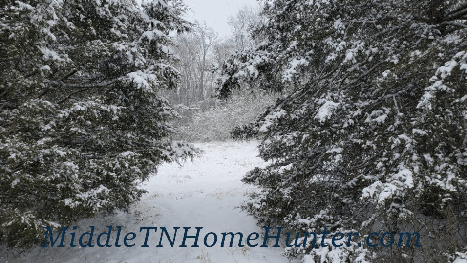 Winter in Tennessee Middle TN Home Hunter