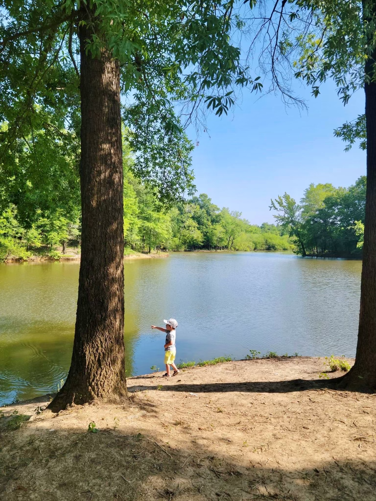 Lot 213 Middle TN Lakefront Land for Sale