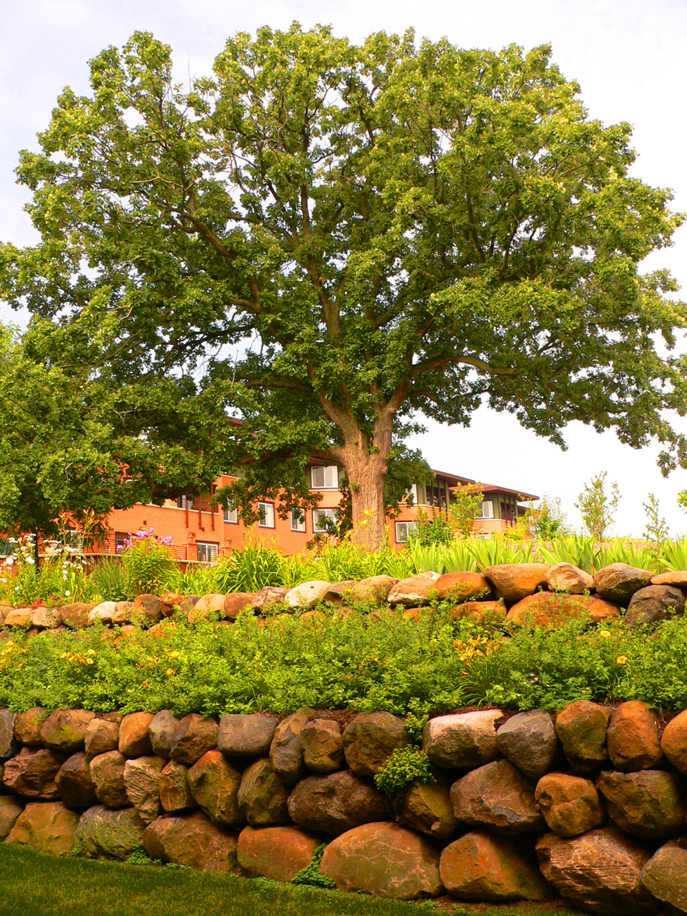 The Oak Tree Middleton Glen