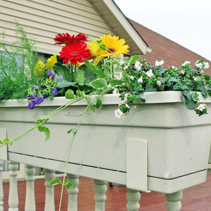 20+ Fence Hangers For Plants | MoniqueVeronica