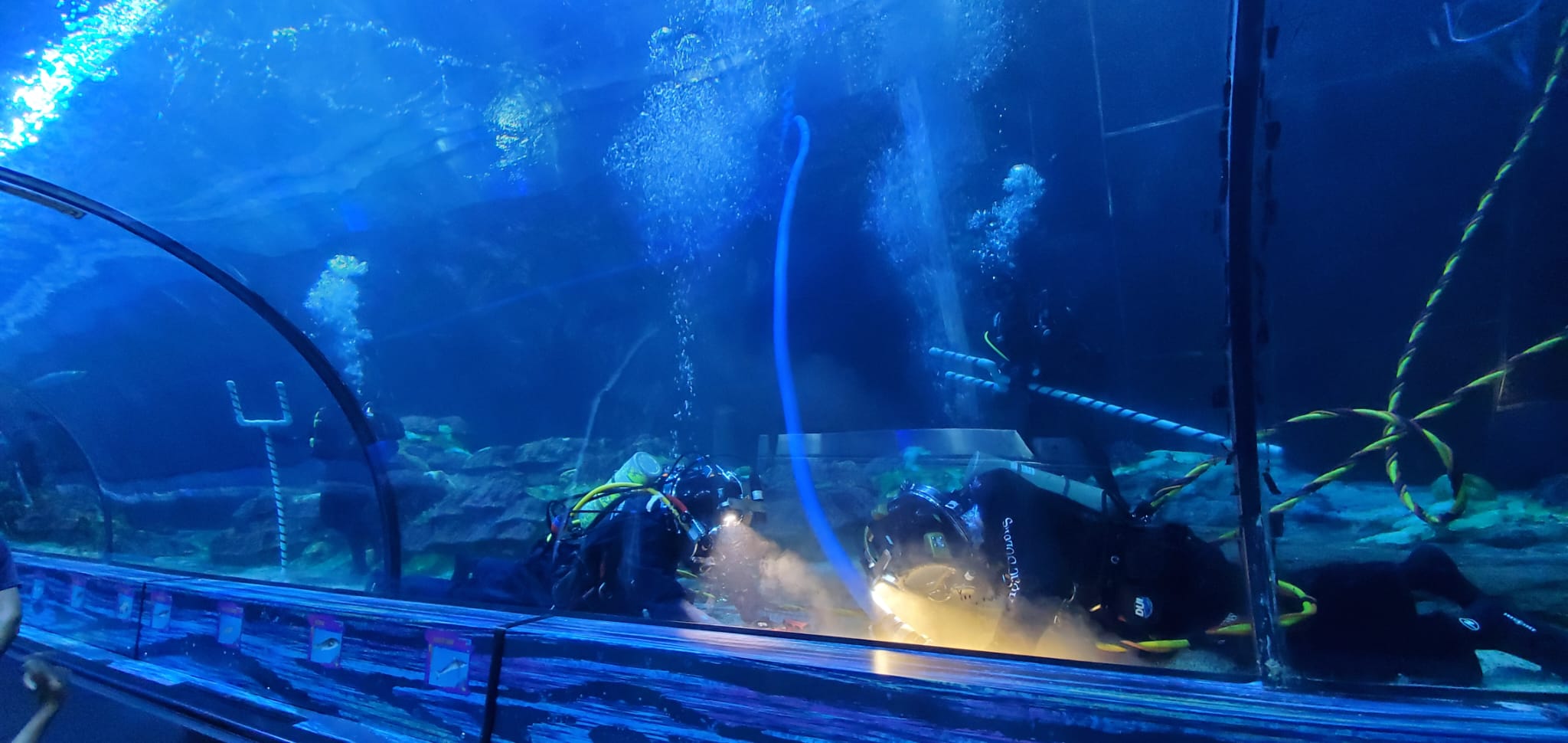 Midgard Divers Underwater Construction & Repair Services