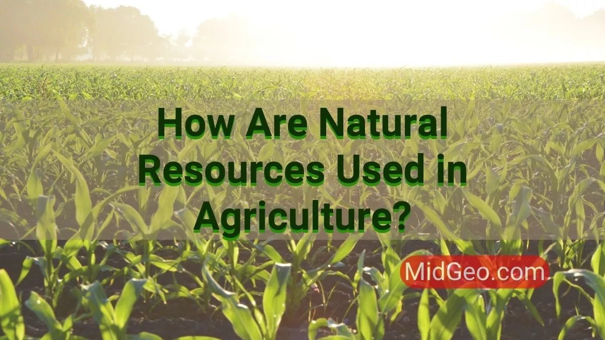 How Are Natural Resources Used In Agriculture?