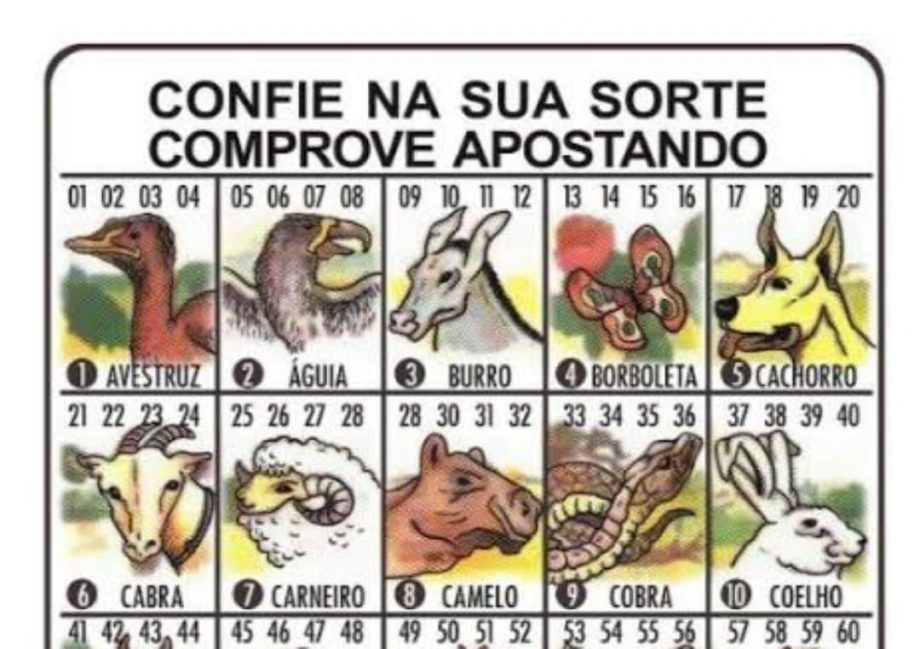 Jogo do bicho movimentaria mais de R 1,2 milhão em Campo Grande e