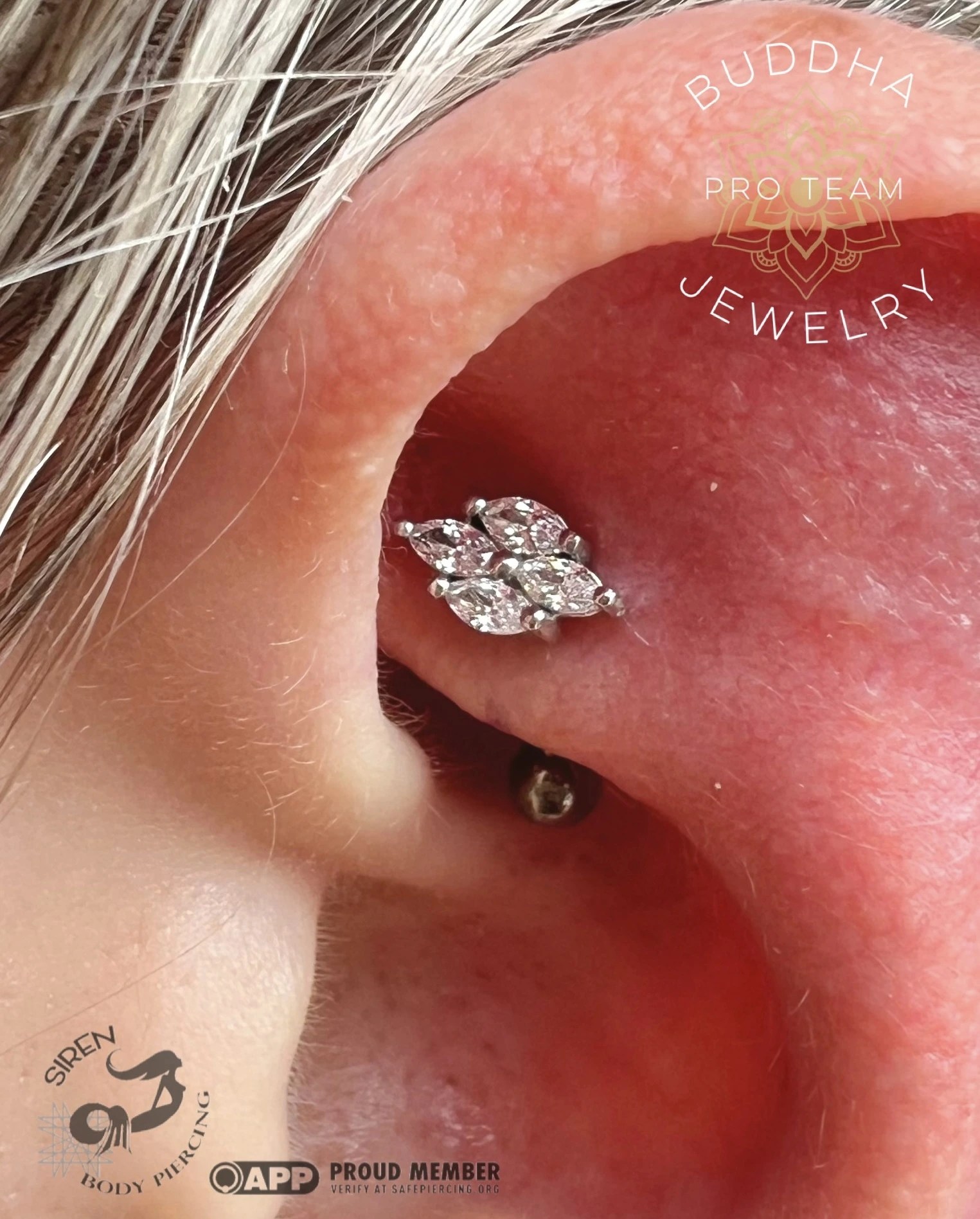 Body Piercing Portfolio gold piercing jewelry Siren Body Piercing