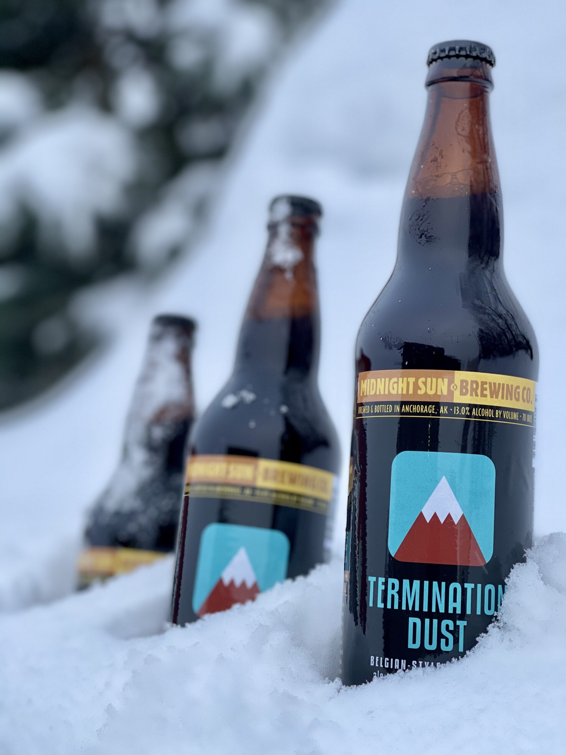 TD vertical Midnight Sun Brewing Co.