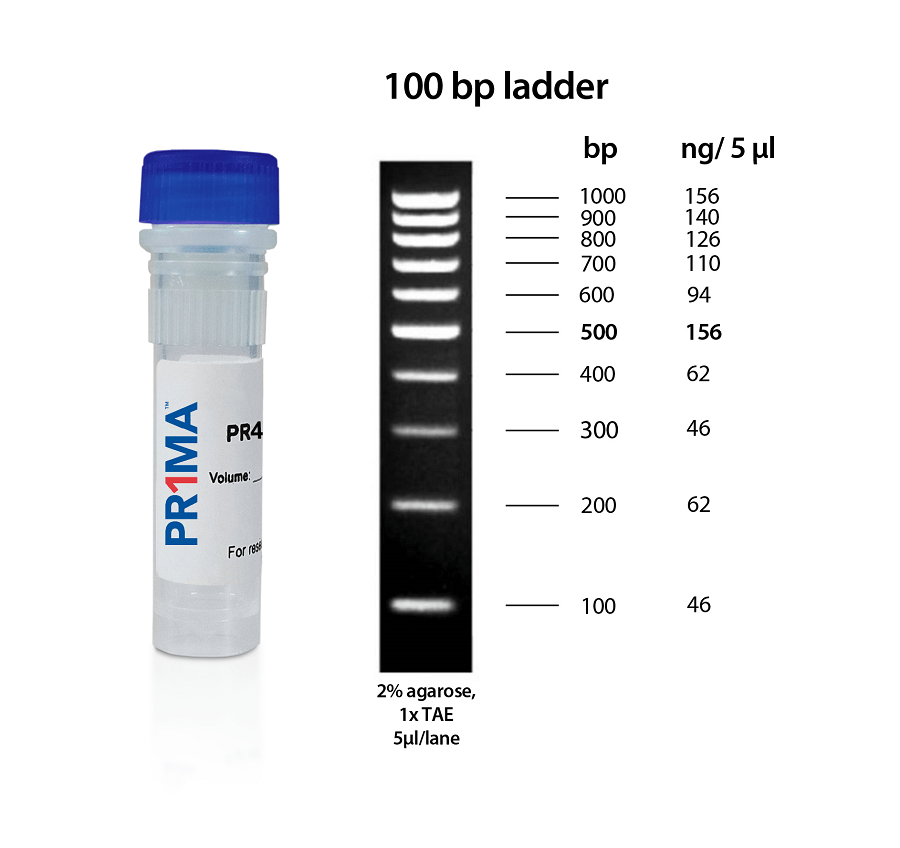 PR1MA SmartCheck DNA Ladders