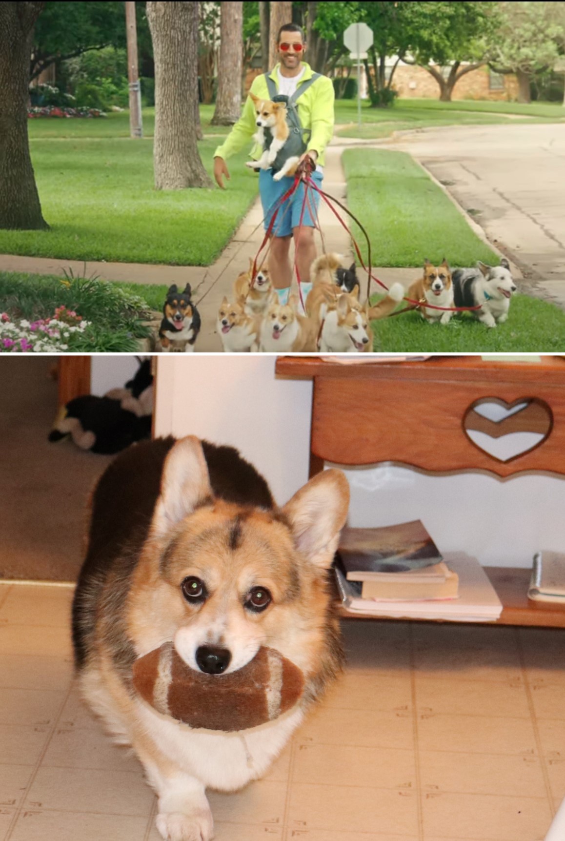 Super Dogs & Super Commercials MidSole
