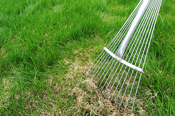 Lawn & Garden Maintenance Toronto Midtown Landscaping Inc.