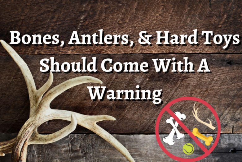 Are Antlers Too Hard For Puppies