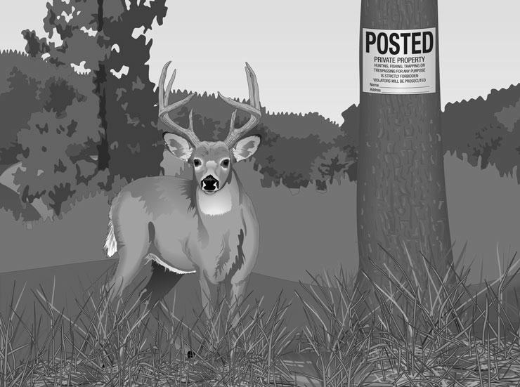 Do Hunters Respect the Animals?