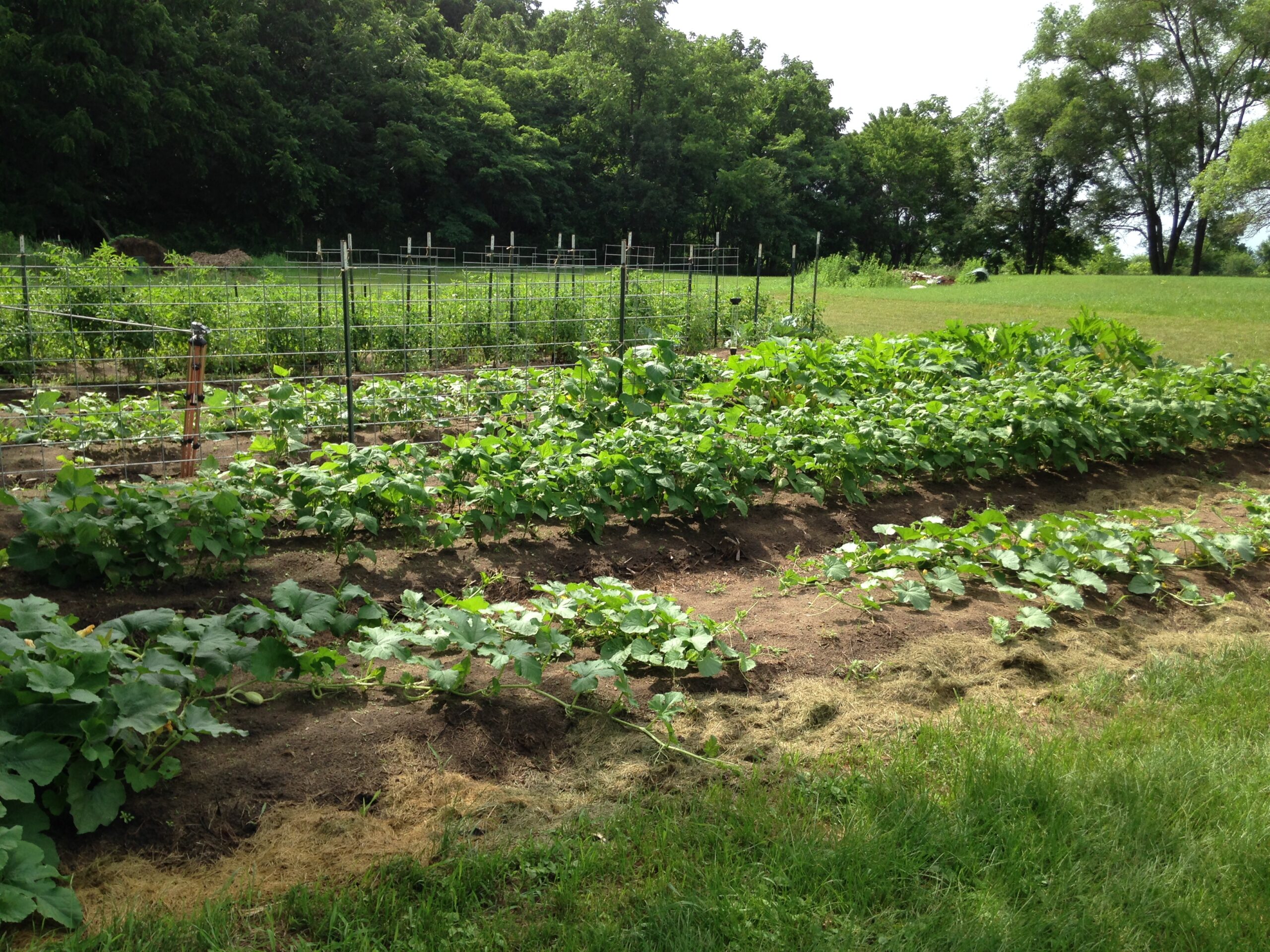 Ways To Improve the Nitrogen Content of Compost