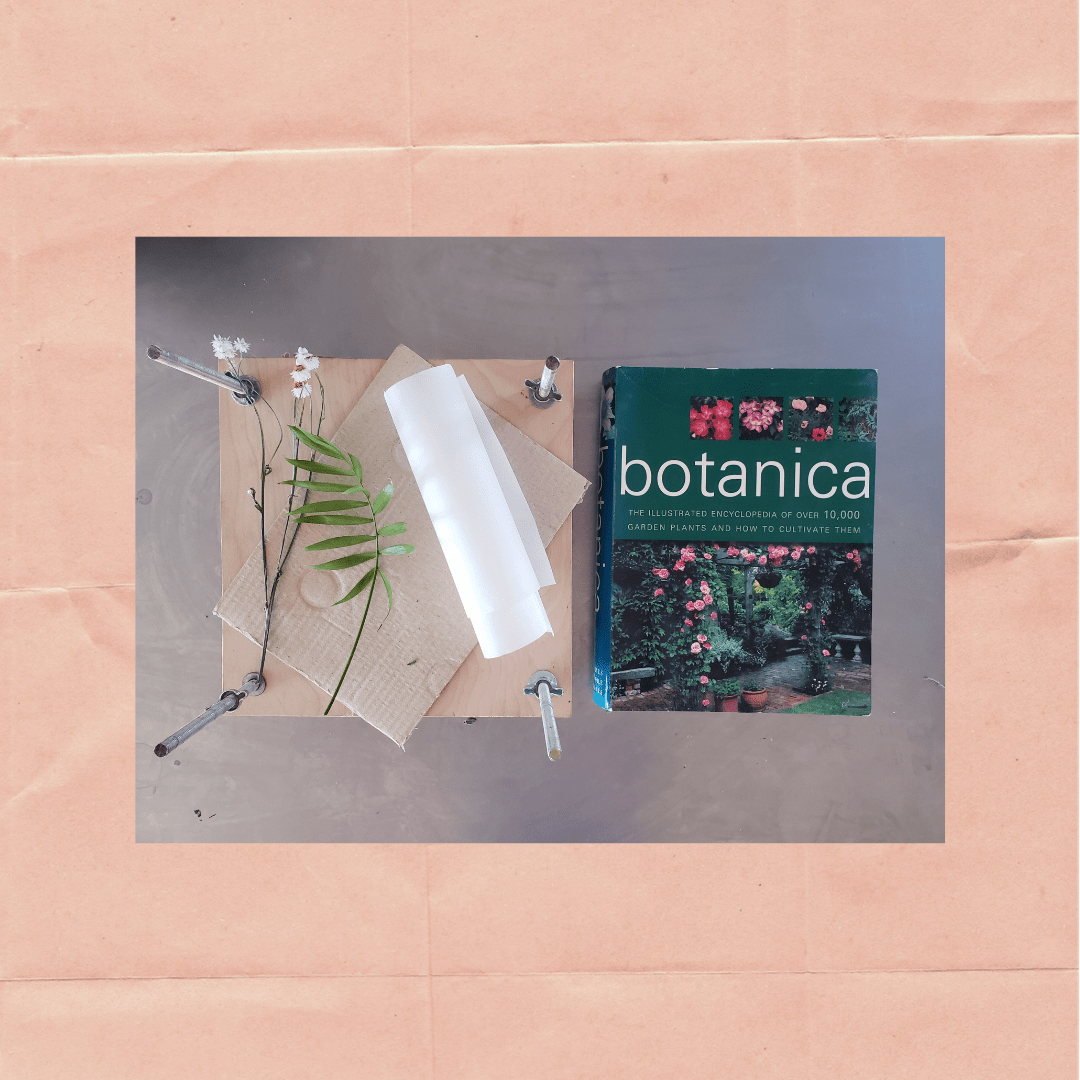 How to press flowers midwestcutflowers