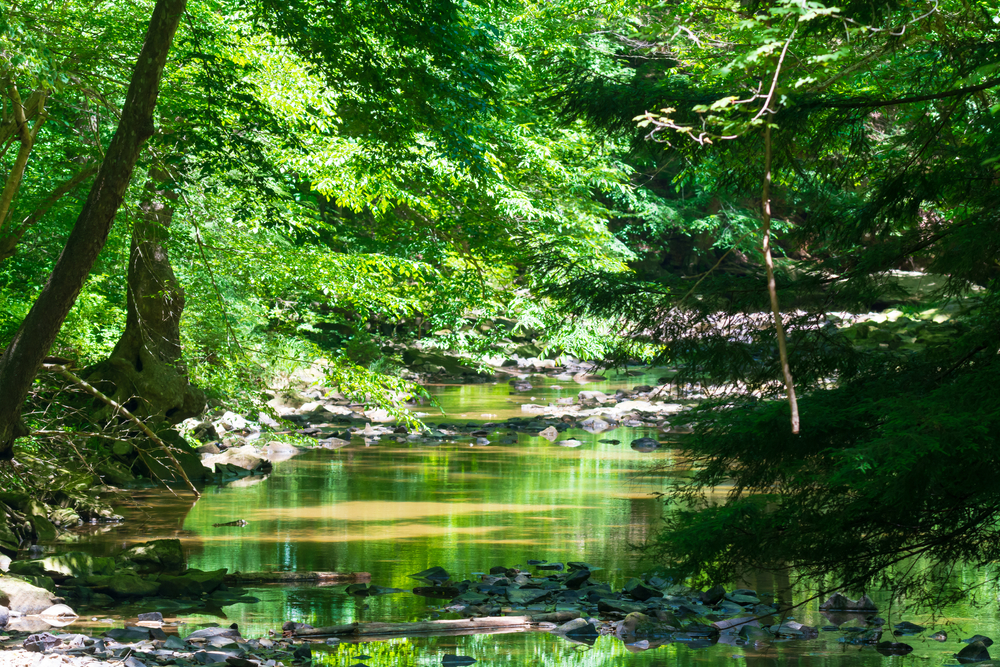 15 Coolest State Parks in Ohio For You To Explore Midwest Explored