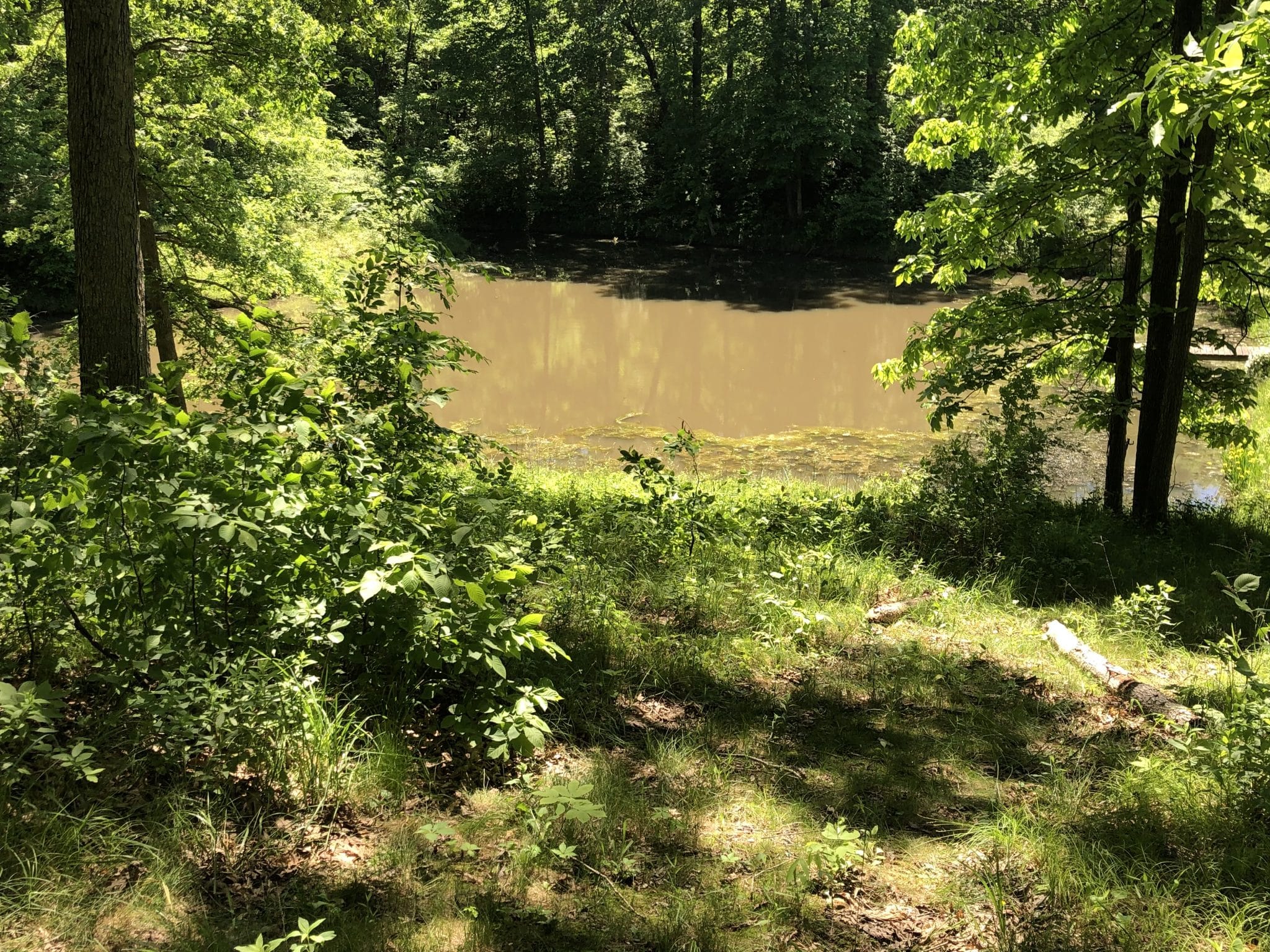 Premium hunting ground in Hancock County Midwest Farm and Land Co.