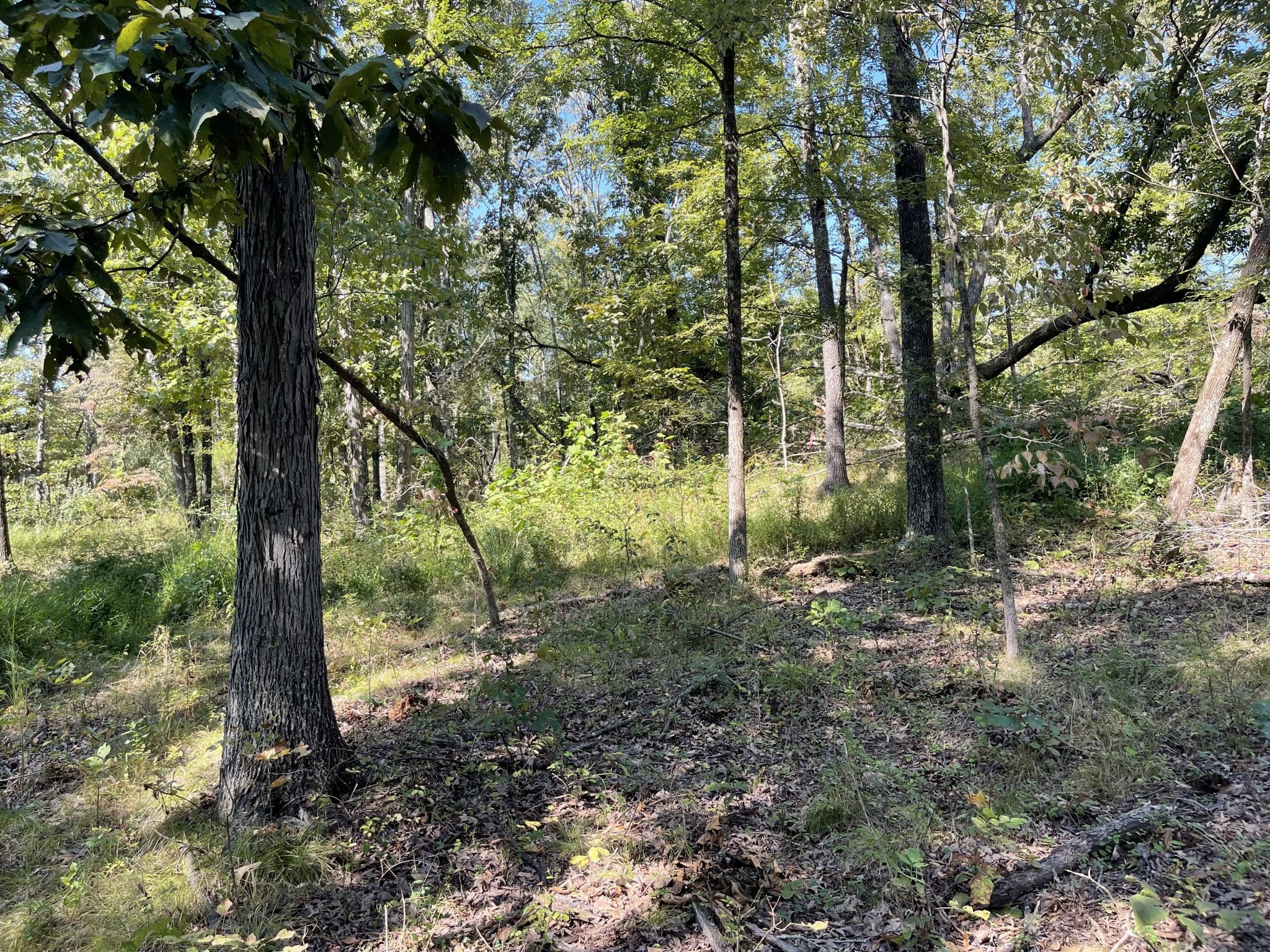 000 Meadowlark, Carrier Mills, IL 62917 (Off Market MyStateMLS Listing