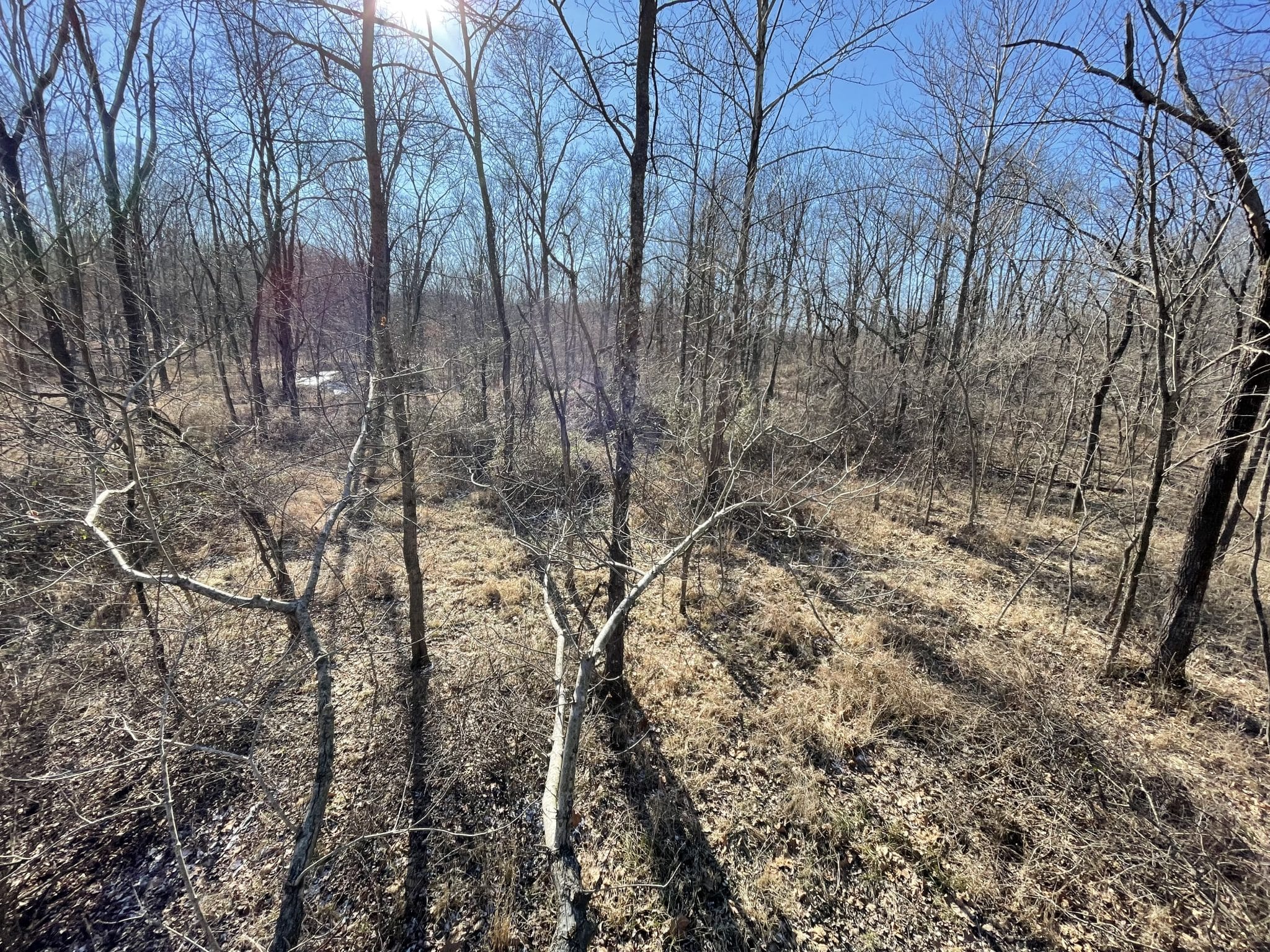 40 acres in Marion County! Midwest Farm and Land Co.