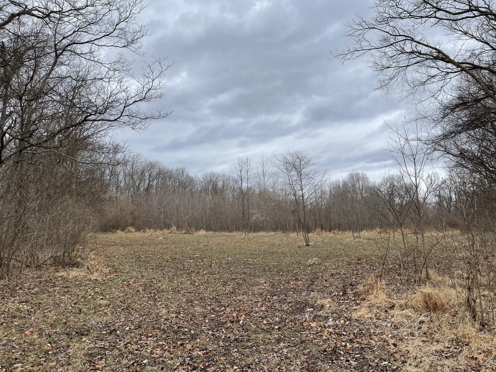 000 Eastman Road, GORHAM, IL, 62940 Midwest Farm and Land Co.