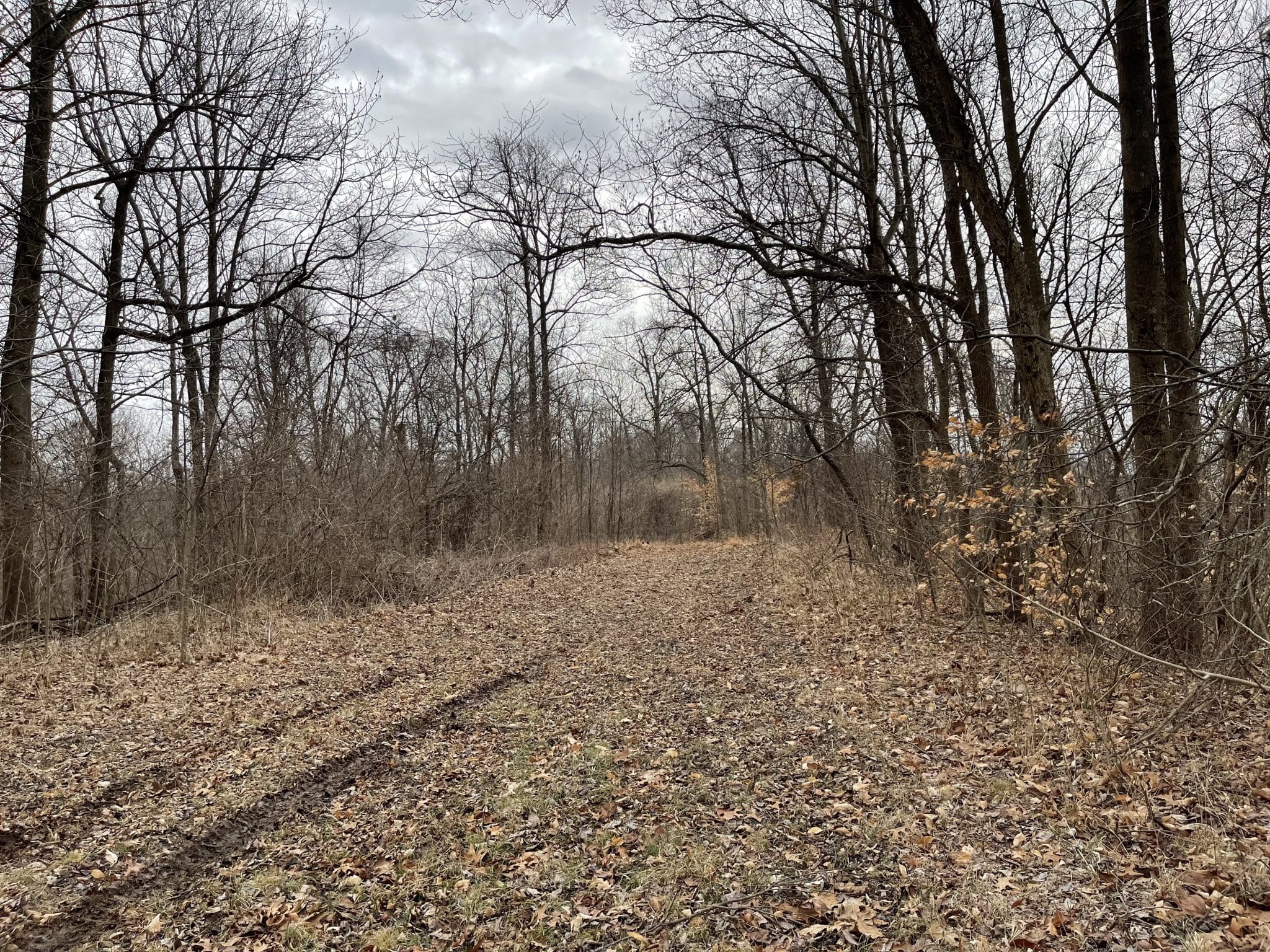 000 Eastman Road, GORHAM, IL, 62940 Midwest Farm and Land Co.