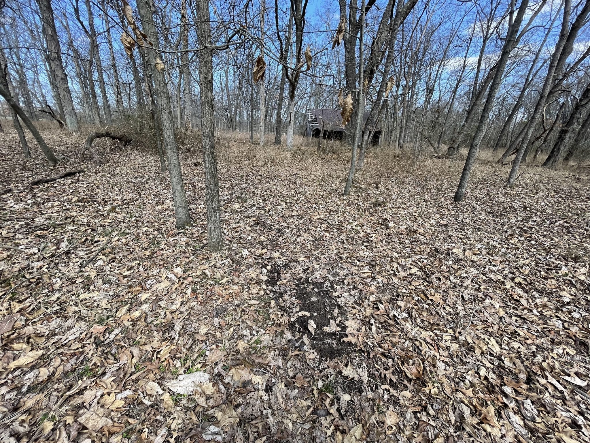 000 E Malecki Bluford IL Midwest Farm and Land Co.