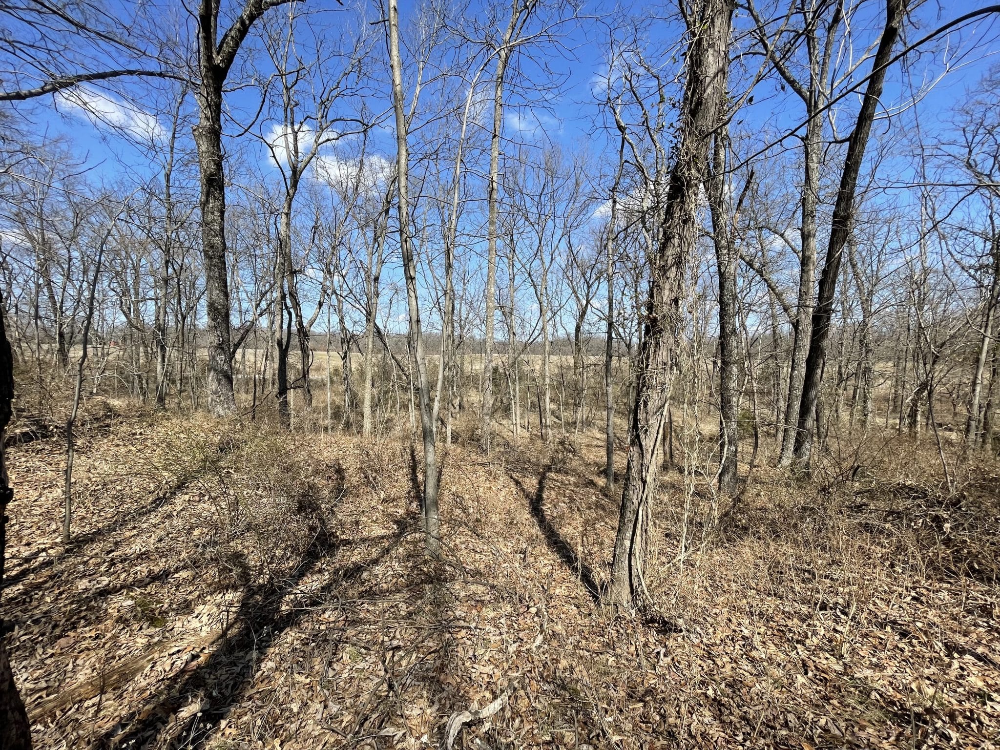 000 E Malecki Bluford IL Midwest Farm and Land Co.