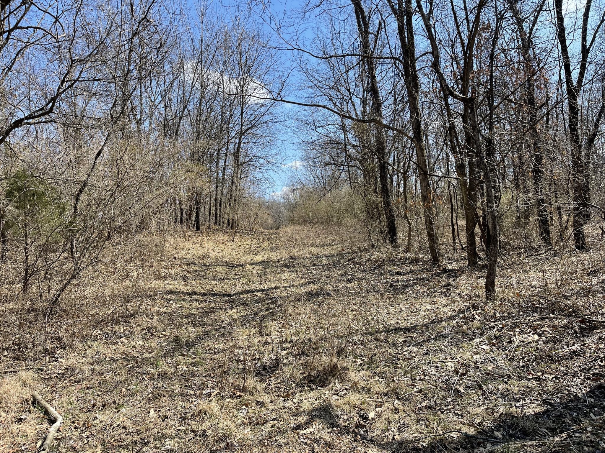 000 E Malecki Bluford IL Midwest Farm and Land Co.