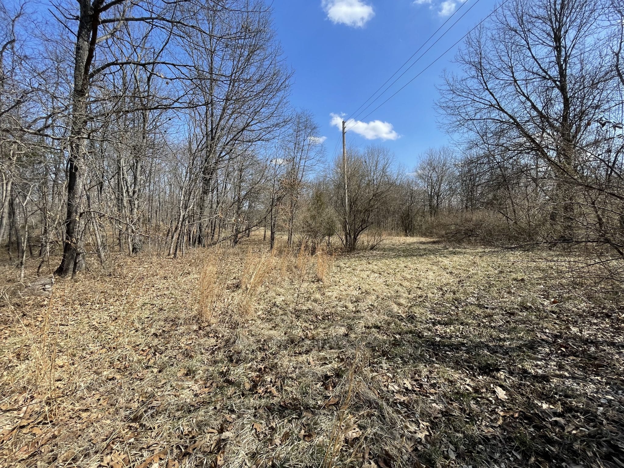 000 E Malecki Bluford IL Midwest Farm and Land Co.