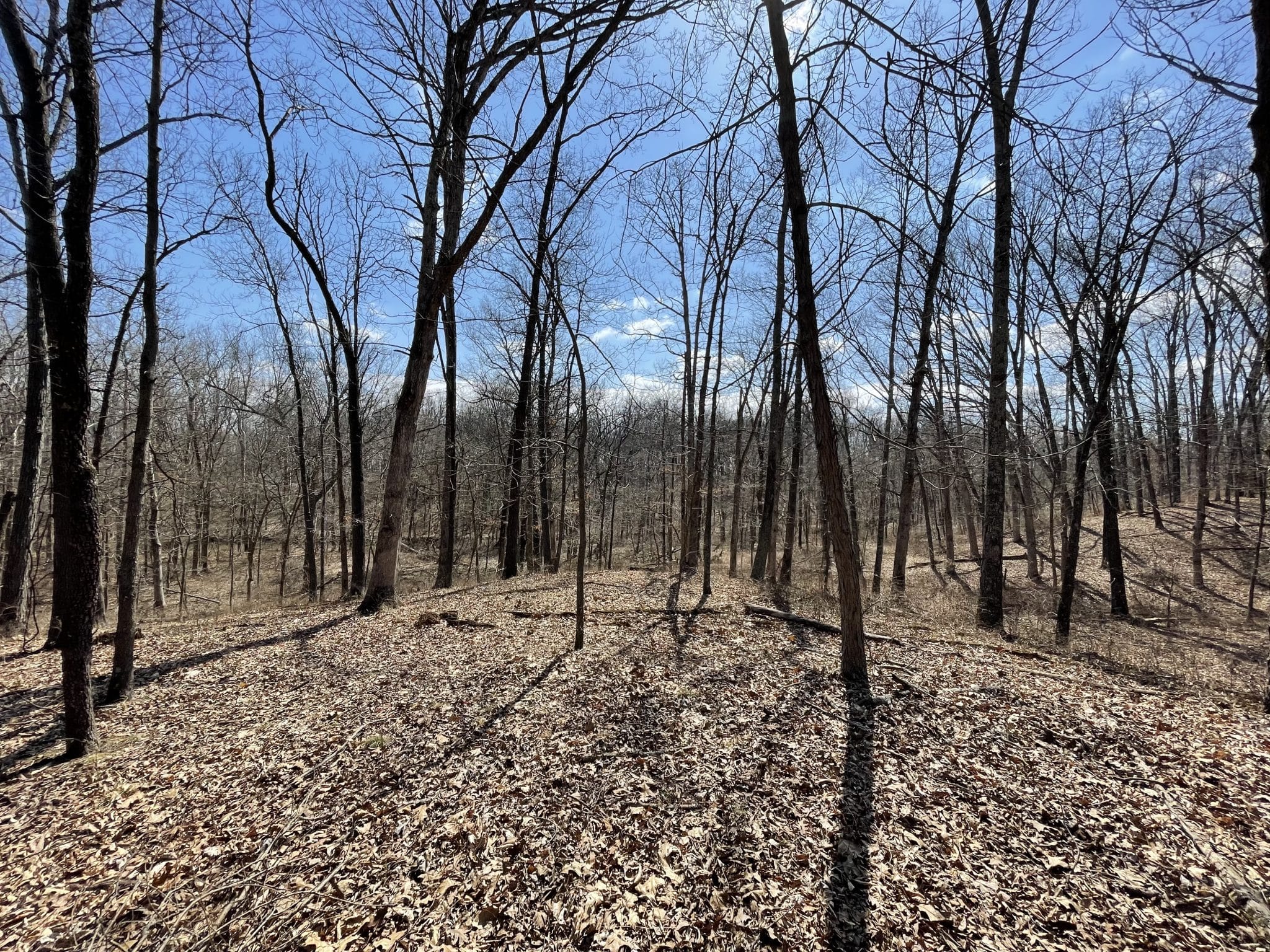 000 E Malecki Bluford IL Midwest Farm and Land Co.