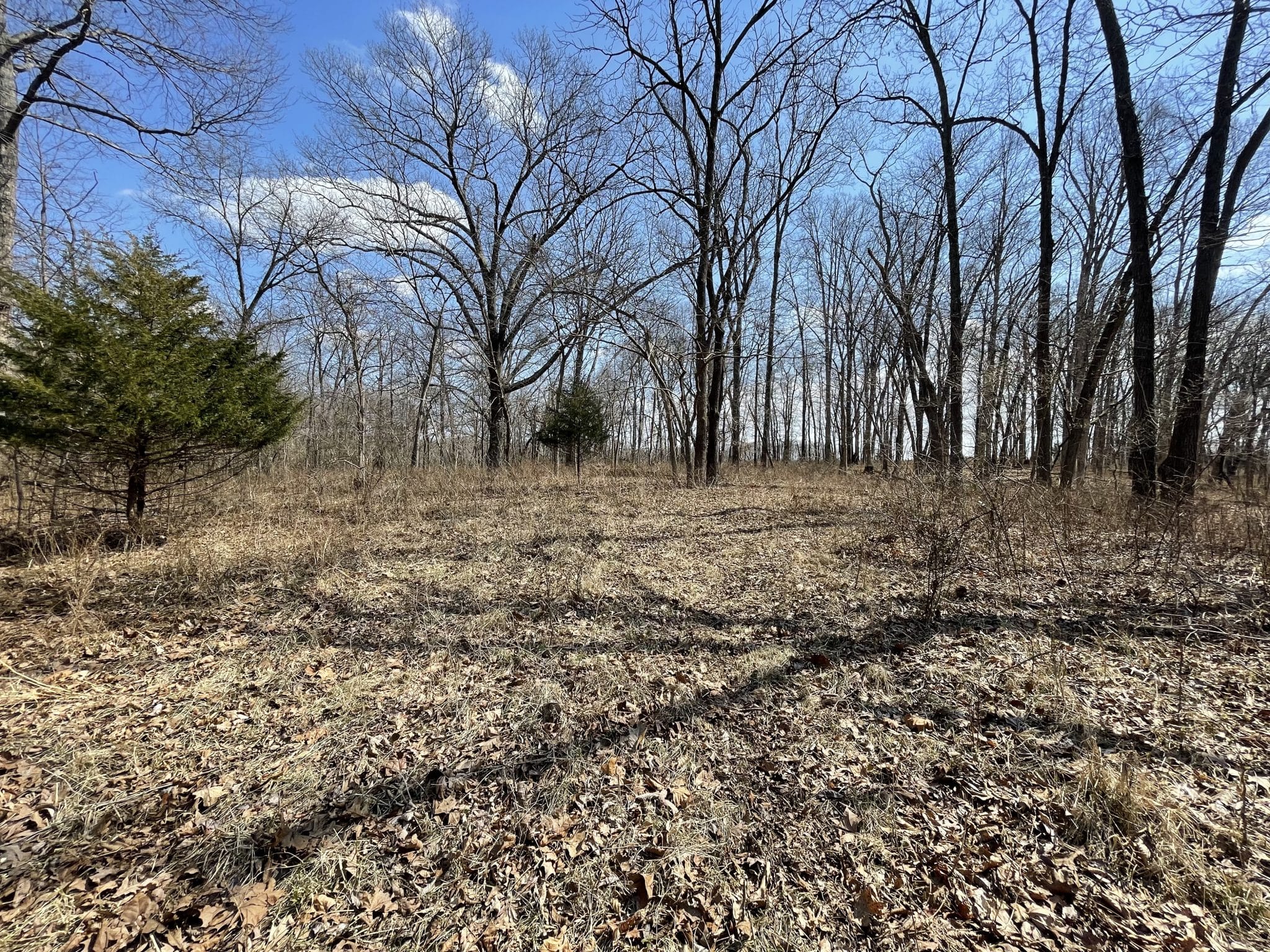 000 E Malecki Bluford IL Midwest Farm and Land Co.