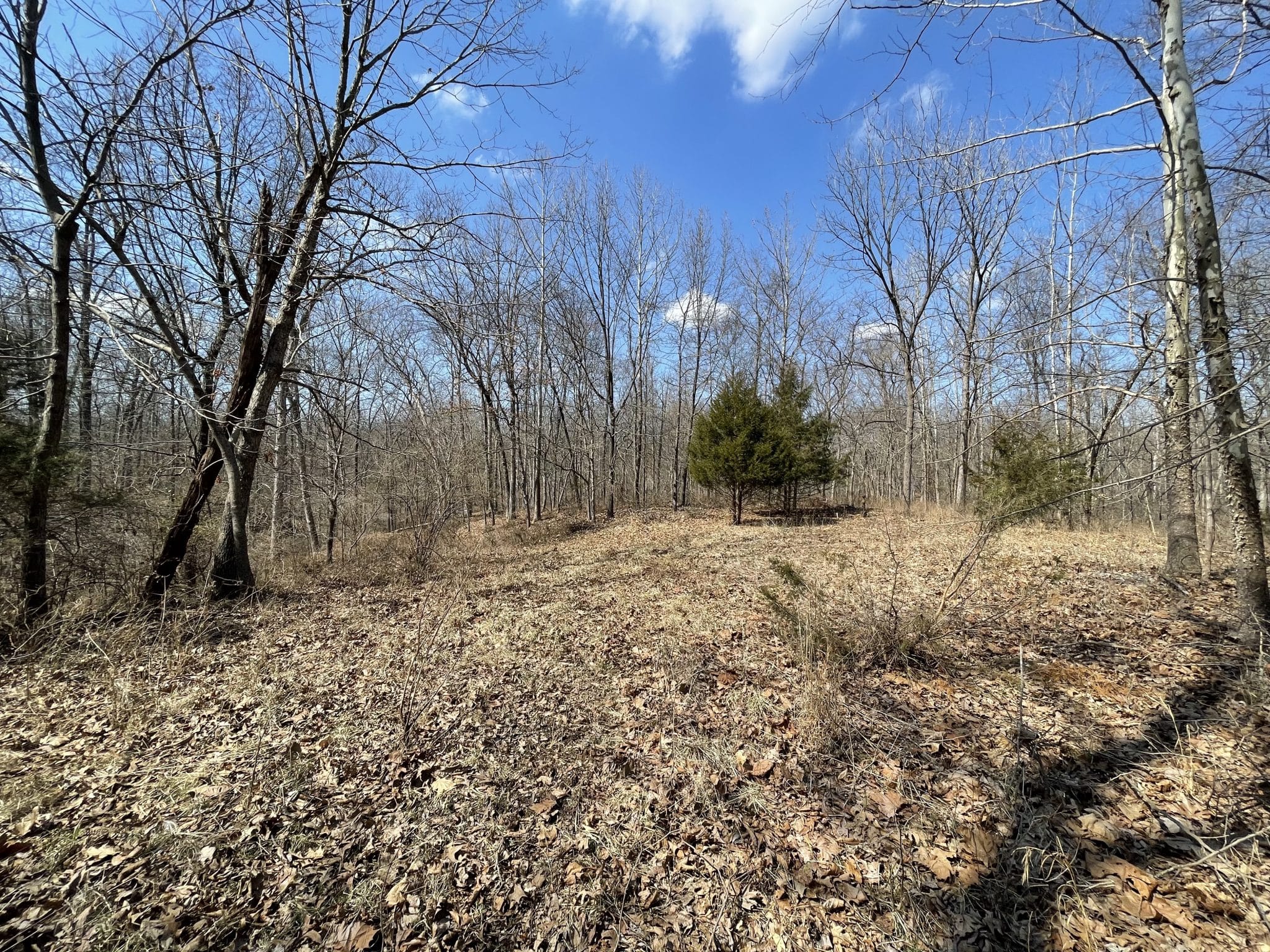 000 E Malecki Bluford IL Midwest Farm and Land Co.