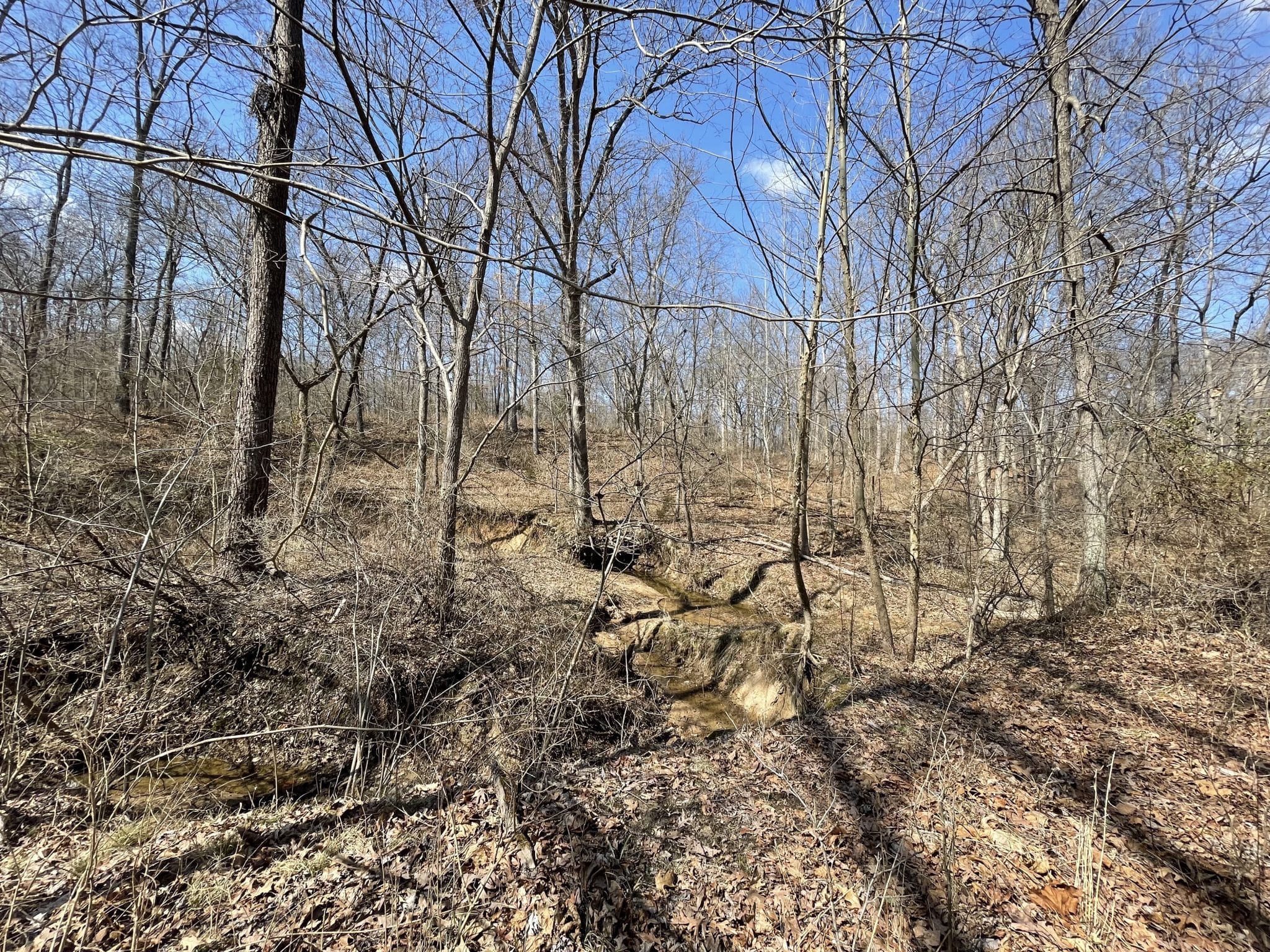 000 E Malecki Bluford IL Midwest Farm and Land Co.