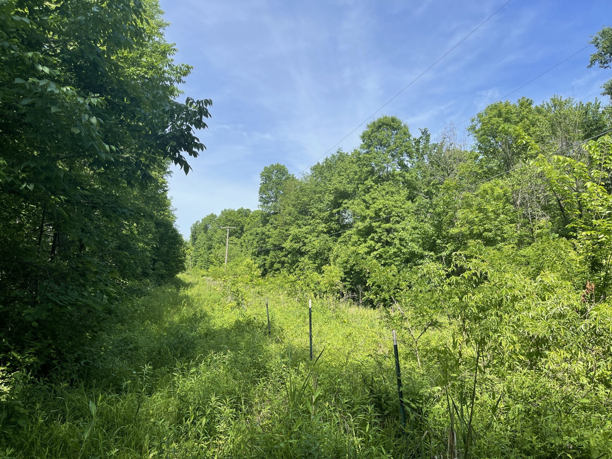 000 Stiritz Rd, West Frankfort Midwest Farm and Land Co.
