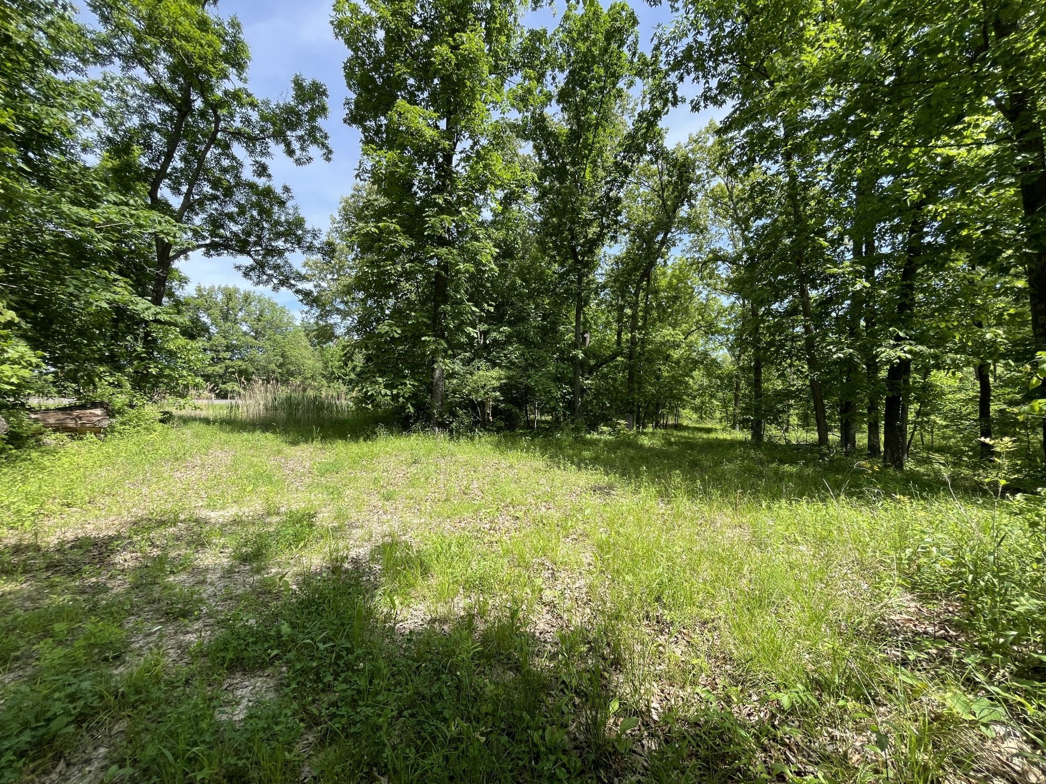 000 Stiritz Rd, West Frankfort Midwest Farm and Land Co.